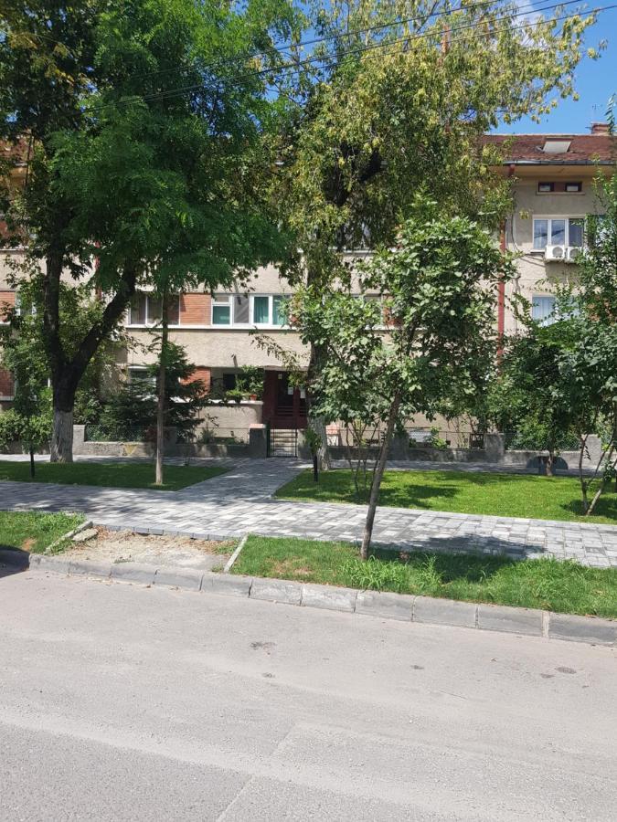 Buget Arena Nationala Monza * Bucarest